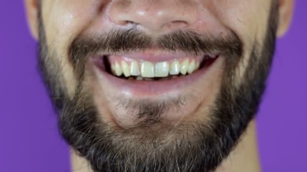 수염이 많은 남자가 카메라를 보며 웃고 있습니다. 웃는 젊은 턱수염 남자의 근접 사진. — 비디오