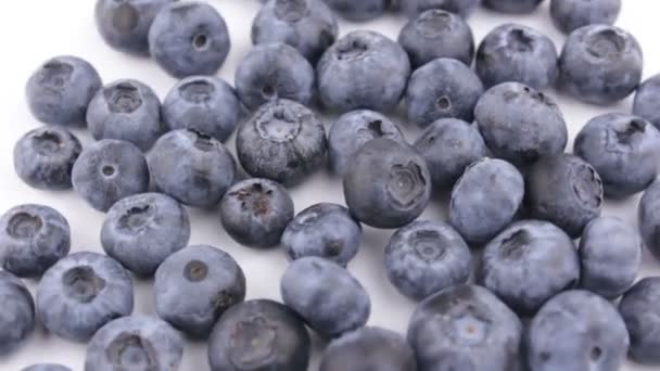 Nahaufnahme Von Reifen Saftigen Blaubeeren Auf Weißem Hintergrund Rotation Von — Stockvideo