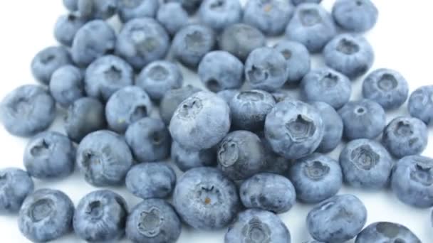 Gros Plan Bleuets Juteux Mûrs Sur Fond Blanc Rotation Gros — Video