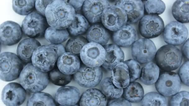 Close Ripe Juicy Blueberries White Background Fresh Organic Blueberries Lie — Stock Video