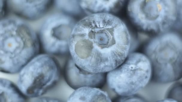 Fresh Organic Blueberries Lie Plate Rotation Fresh Juicy Blueberry Close — Stock Video