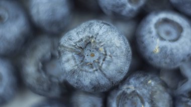 Beyaz arka planda olgun sulu yaban mersinlerinin yakın çekimi. Tabakta taze organik yaban mersini var..