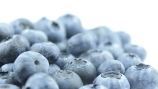 Fresh Organic Blueberries Lie Plate Rotation Fresh Juicy Blueberry Close — Stock Video