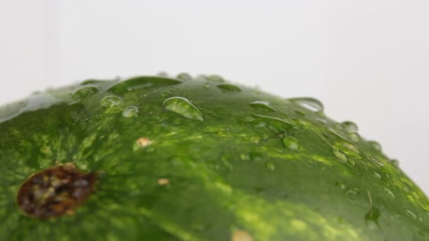 新鮮なジューシーなストライプスイカのクローズアップ 水の滴がジューシーなスイカの皮を流れる 緑の縞模様のスイカの水滴のクローズアップ — ストック動画