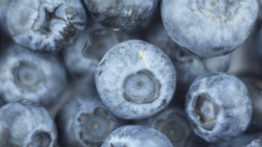 Beyaz arka planda olgun sulu yaban mersinlerinin yakın çekimi. Tabakta taze organik yaban mersini var..