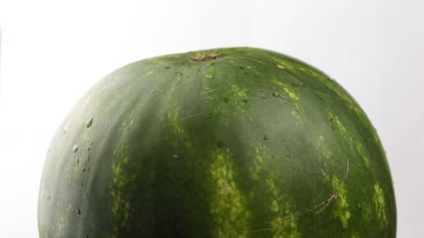 Mannen Kontrollerar Vattenmelonens Mognad Klappar Med Fingrarna Den Närbild Ung — Stockvideo