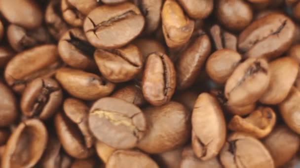 Pörkölt Aromás Kávészemek Egy Tányéron Forognak Kávébab Rotációjának Közeli Felvétele — Stock videók