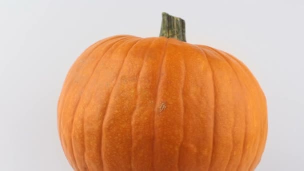 Zucca Halloween Ruota Uno Sfondo Bianco Zucca Arancione Matura Ruota — Video Stock