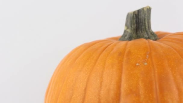 Halloween Κολοκύθα Περιστρέφεται Λευκό Φόντο Ώριμη Πορτοκαλί Κολοκύθα Περιστρέφεται Λευκό — Αρχείο Βίντεο