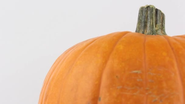 Calabaza Halloween Gira Sobre Fondo Blanco Calabaza Naranja Madura Gira — Vídeo de stock