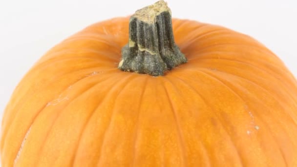 Halloween Pompoen Draait Een Witte Achtergrond Rijpe Oranje Pompoen Draait — Stockvideo