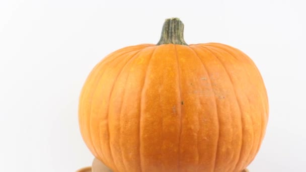 Fresh organic pumpkin on a white background.Halloween pumpkin on a white background. Ripe orange pumpkin on a white background. — Stock Video