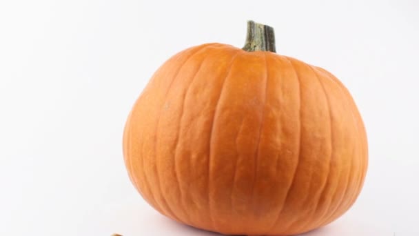 Frischer Bio-Kürbis auf weißem Hintergrund. Halloween-Kürbis auf weißem Hintergrund. Reifer orangefarbener Kürbis auf weißem Hintergrund. — Stockvideo