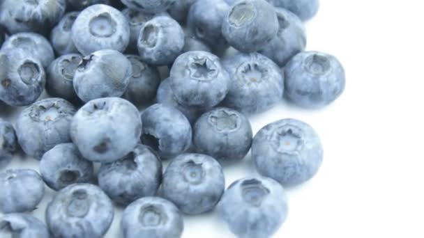 在白色背景上的成熟多汁蓝莓的特写 新鲜的有机蓝莓放在盘子里 新鲜多汁蓝莓特写的轮换 — 图库视频影像