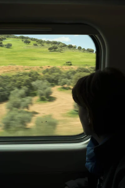 View High Speed Train Window Motion Countrysideand Sky Sunny Warm — Stock Photo, Image