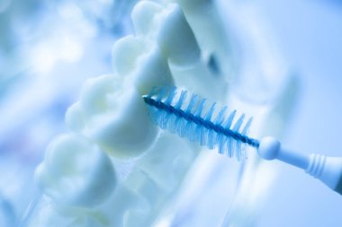 Diş diş fırça sağlıklı ipi eylem arasında plak kaldırmak için her diş temizleme Inter.