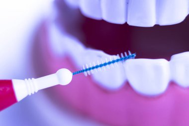 Diş diş fırça sağlıklı ipi eylem arasında plak kaldırmak için her diş temizleme Inter.