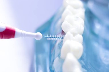 Diş diş fırça sağlıklı ipi eylem arasında plak kaldırmak için her diş temizleme Inter.