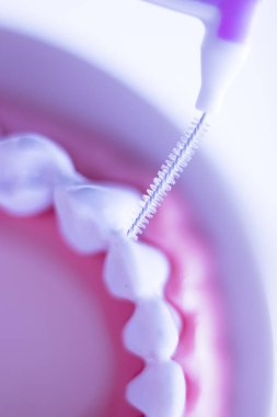 Diş diş fırça sağlıklı ipi eylem arasında plak kaldırmak için her diş temizleme Inter.