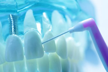 Diş diş fırça sağlıklı ipi eylem arasında plak kaldırmak için her diş temizleme Inter.