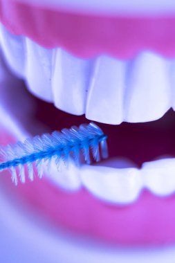 Diş diş fırça sağlıklı ipi eylem arasında plak kaldırmak için her diş temizleme Inter.