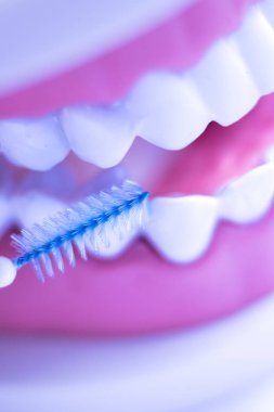 Diş diş fırça sağlıklı ipi eylem arasında plak kaldırmak için her diş temizleme Inter.