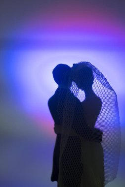 Düğün çifti pasta üstte plastik figürler smokin gece elbisesi, beyaz gelinlik peçesi.