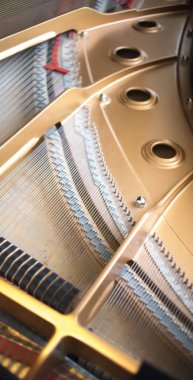 Konser salonu piyano dizeleri klasik müzik performans için hazır.