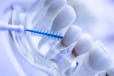 Diş diş fırça sağlıklı ipi eylem arasında plak kaldırmak için her diş temizleme Inter.