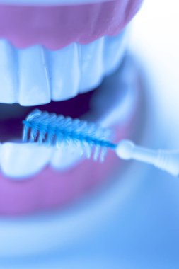 Diş diş fırça sağlıklı ipi eylem arasında plak kaldırmak için her diş temizleme Inter.