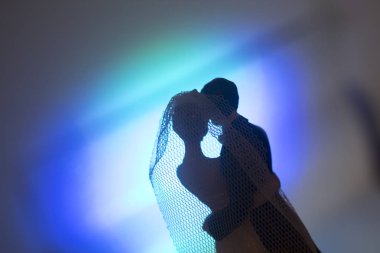 Düğün çifti pasta üstte plastik figürler smokin gece elbisesi, beyaz gelinlik peçesi.