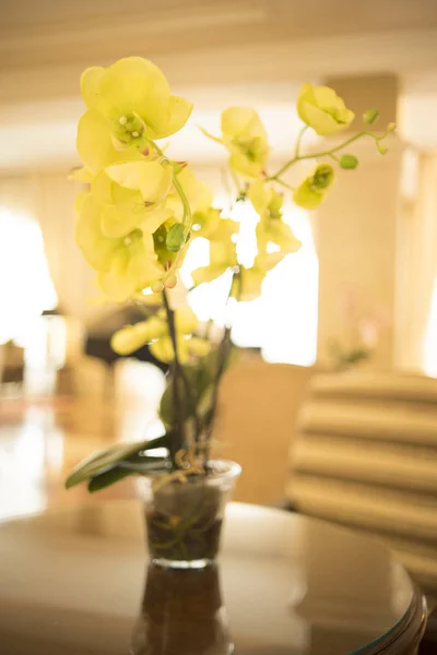 Piękne Kwiaty Luksusowe Pięciogwiazdkowe Małżeństwo Wesele Hotel Przed Przybyciem Gości — Zdjęcie stockowe