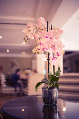 Konuklar gelmeden önce lüks beş yıldızlı otel düğün evlilik parti güzel çiçekler.