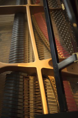 Konser salonu piyano dizeleri klasik müzik performans için hazır.