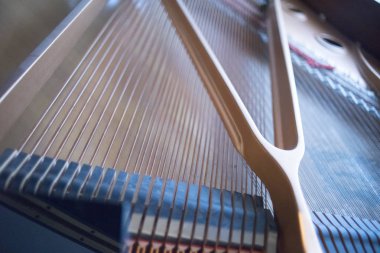 Konser salonu piyano dizeleri klasik müzik performans için hazır.