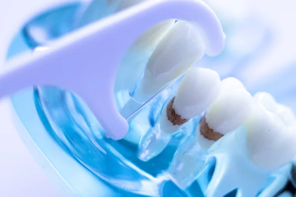 Inter dental teeth cleaning brush healthy floss action between each tooth to remove plaque.