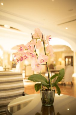 Konuklar gelmeden önce lüks beş yıldızlı otel düğün evlilik parti güzel çiçekler.