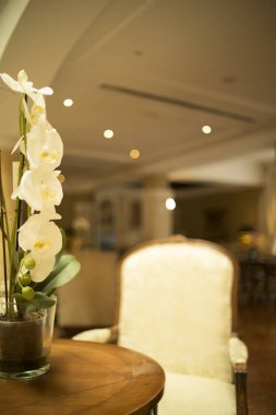 Konuklar gelmeden önce lüks beş yıldızlı otel düğün evlilik parti güzel çiçekler.