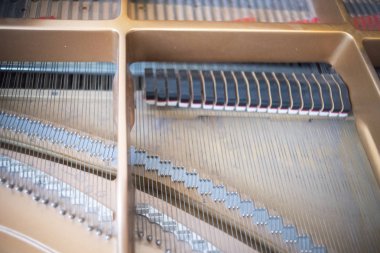 Konser salonu piyano dizeleri klasik müzik performans için hazır.