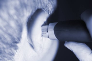 Yaşlı adam kesme iç kulak saç elektrik kesici ile.