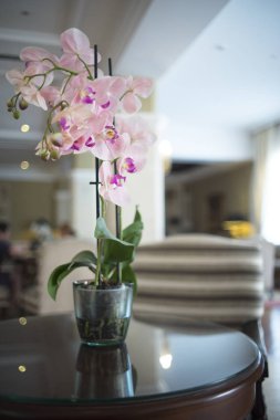 Konuklar gelmeden önce lüks beş yıldızlı otel düğün evlilik parti güzel çiçekler.