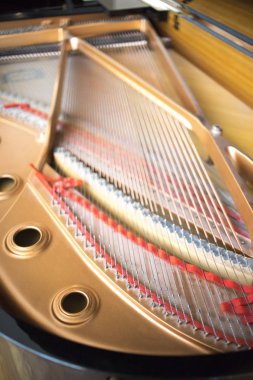 Konser salonu piyano dizeleri klasik müzik performans için hazır.