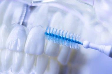 Diş diş fırça sağlıklı ipi eylem arasında plak kaldırmak için her diş temizleme Inter.