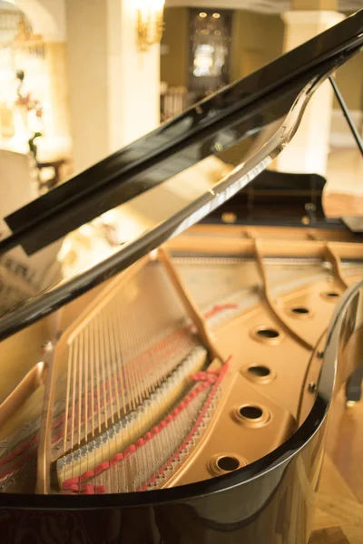 Koncertní Sál Grand Piano Řetězce Vážné Hudby — Stock fotografie