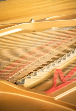 Konser salonu piyano dizeleri klasik müzik performans için hazır.