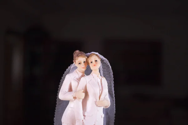 Taart Topper Lesbische Bruidspaar Van Twee Mannelijke Bruiden Holding Romantisch — Stockfoto
