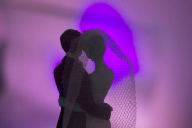 Düğün çifti pasta üstte plastik figürler smokin gece elbisesi, beyaz gelinlik peçesi.