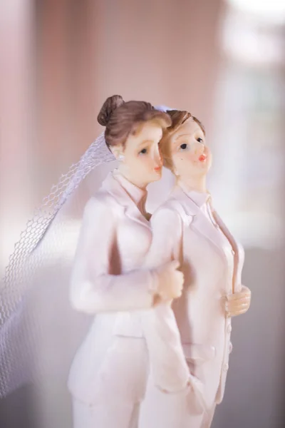 Kuchendeckel Lesbische Hochzeitspaar Von Zwei Männlichen Bräuten Mit Romantischer Ehe — Stockfoto