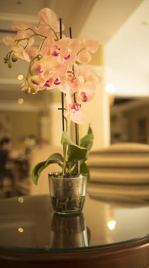 Konuklar gelmeden önce lüks beş yıldızlı otel düğün evlilik parti güzel çiçekler.