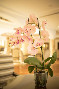 Konuklar gelmeden önce lüks beş yıldızlı otel düğün evlilik parti güzel çiçekler.